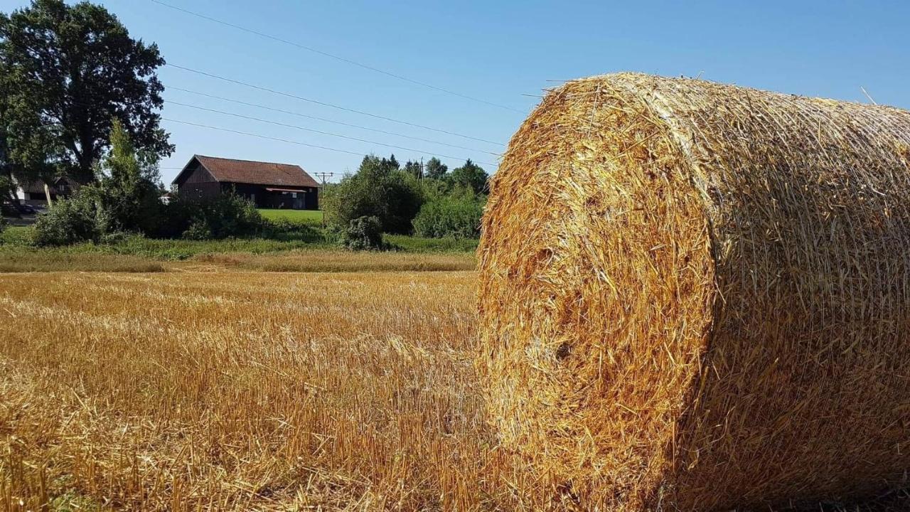 Folwark Tumiany Pokoje & Restauracja Exteriér fotografie